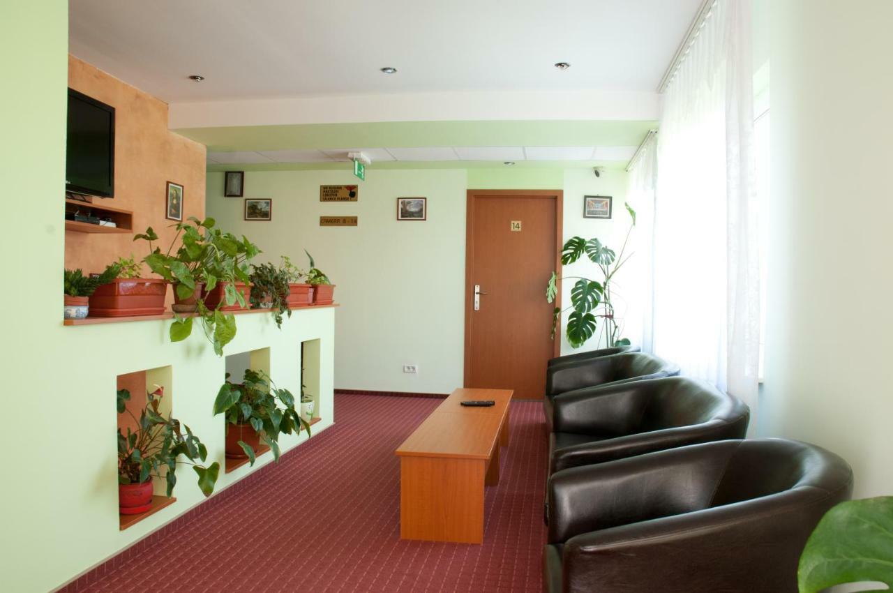 Pension Delia Gardens Timişoara Exteriör bild