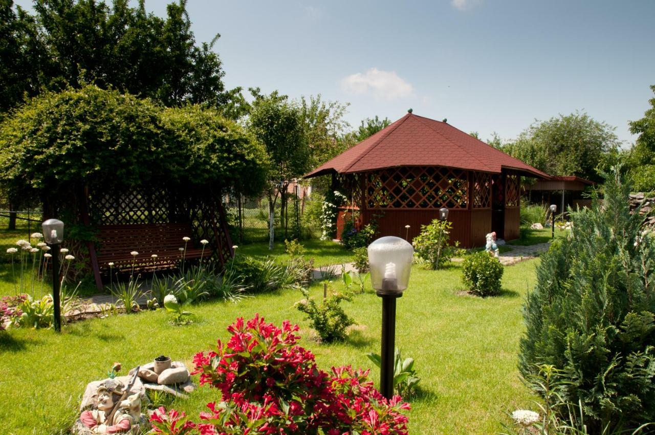 Pension Delia Gardens Timişoara Exteriör bild
