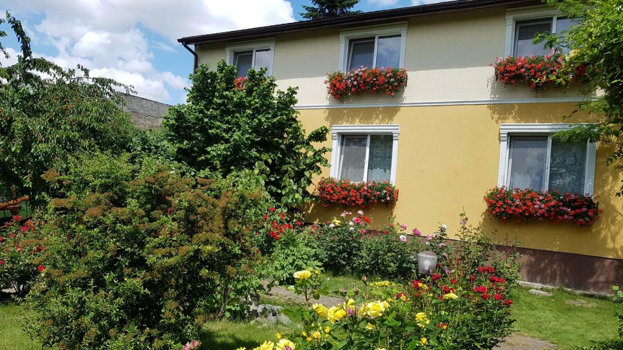 Pension Delia Gardens Timişoara Exteriör bild